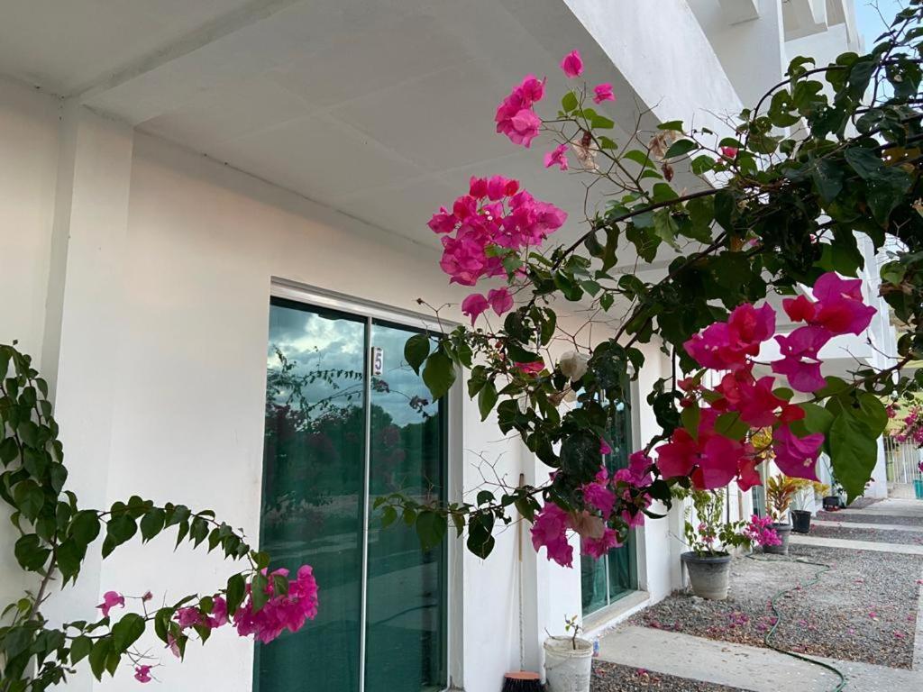 Solar Teixeira Flats Hotel Porto de Galinhas Ngoại thất bức ảnh